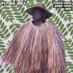 flybex